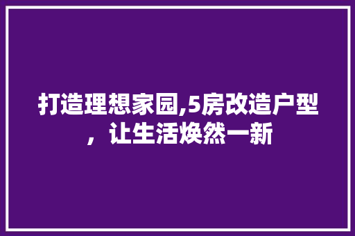 打造理想家园,5房改造户型，让生活焕然一新