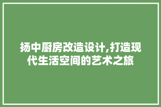 扬中厨房改造设计,打造现代生活空间的艺术之旅 建筑设计