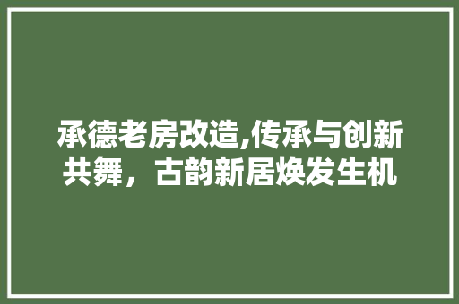 承德老房改造,传承与创新共舞，古韵新居焕发生机 庭院装修
