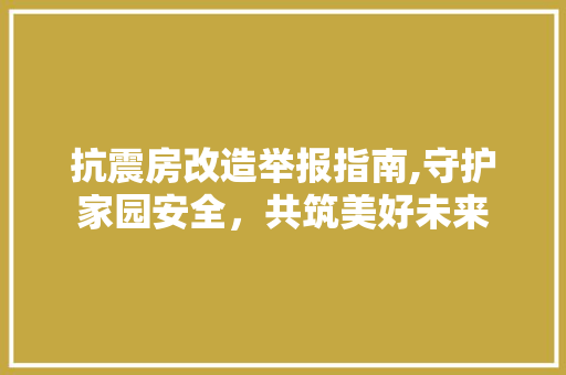 抗震房改造举报指南,守护家园安全，共筑美好未来 地面装修