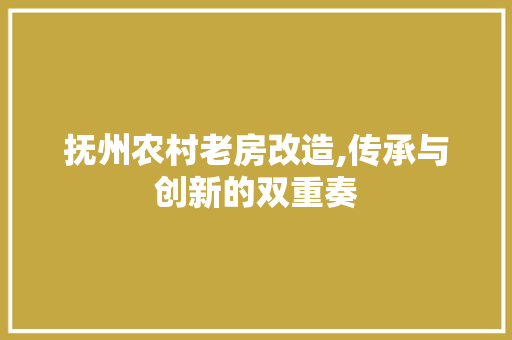 抚州农村老房改造,传承与创新的双重奏 墙面装饰