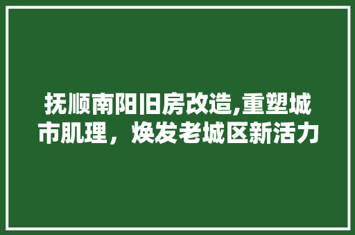 抚顺南阳旧房改造,重塑城市肌理，焕发老城区新活力 装修攻略