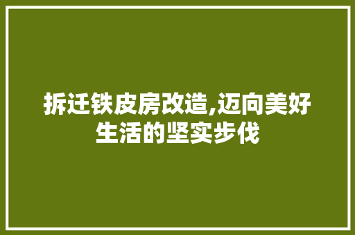 拆迁铁皮房改造,迈向美好生活的坚实步伐