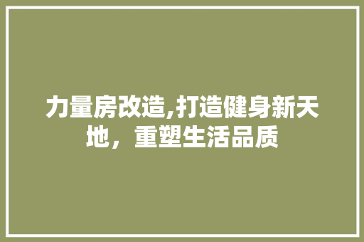 力量房改造,打造健身新天地，重塑生活品质