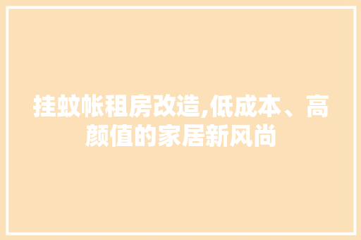 挂蚊帐租房改造,低成本、高颜值的家居新风尚 装修攻略