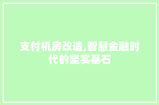 支付机房改造,智慧金融时代的坚实基石 装修材料 支付机房改造,智慧金融时代的坚实基石 装修材料