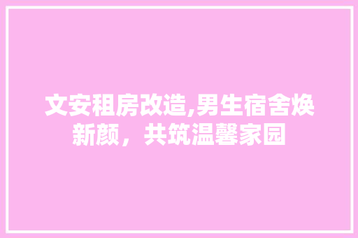 文安租房改造,男生宿舍焕新颜，共筑温馨家园 墙面装饰