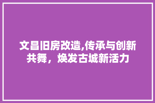 文昌旧房改造,传承与创新共舞，焕发古城新活力