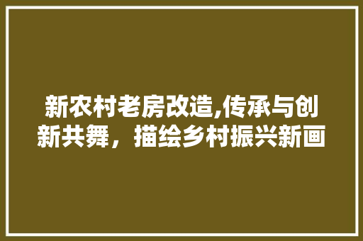 新农村老房改造,传承与创新共舞，描绘乡村振兴新画卷