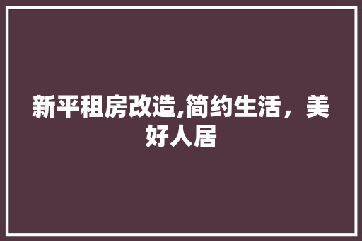 新平租房改造,简约生活，美好人居