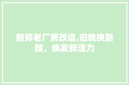 新郑老厂房改造,旧貌换新颜，焕发新活力