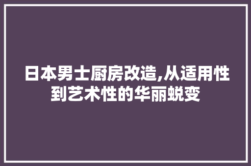 日本男士厨房改造,从适用性到艺术性的华丽蜕变