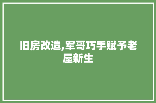 旧房改造,军哥巧手赋予老屋新生