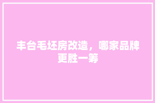 丰台毛坯房改造，哪家品牌更胜一筹