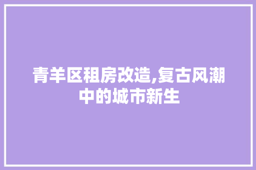 青羊区租房改造,复古风潮中的城市新生