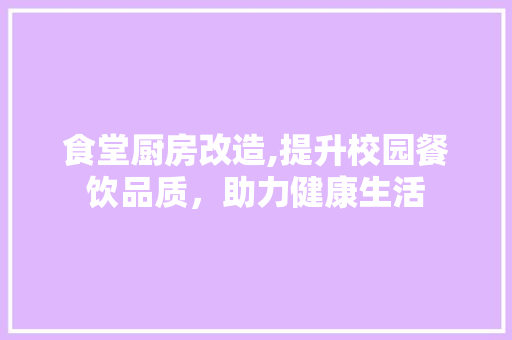 食堂厨房改造,提升校园餐饮品质，助力健康生活 装修攻略