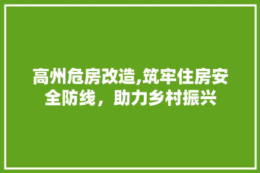 高州危房改造,筑牢住房安全防线，助力乡村振兴 地面装修
