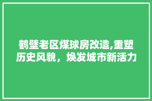 鹤壁老区煤球房改造,重塑历史风貌，焕发城市新活力 装修材料