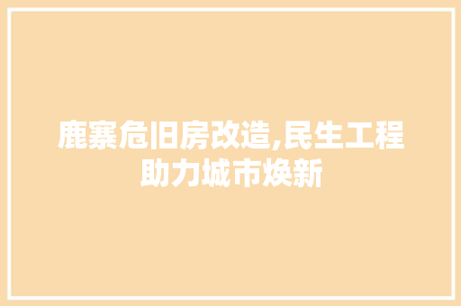 鹿寨危旧房改造,民生工程助力城市焕新 建筑设计