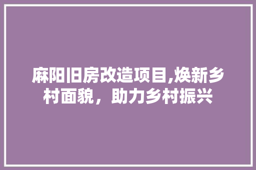 麻阳旧房改造项目,焕新乡村面貌，助力乡村振兴
