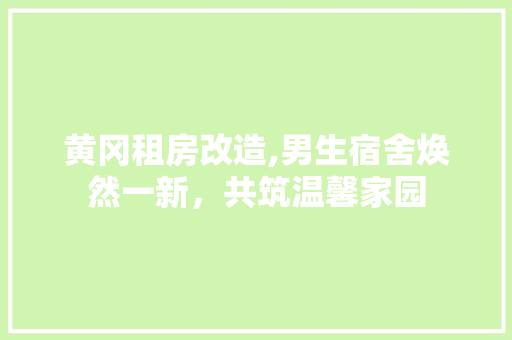 黄冈租房改造,男生宿舍焕然一新，共筑温馨家园 装修攻略