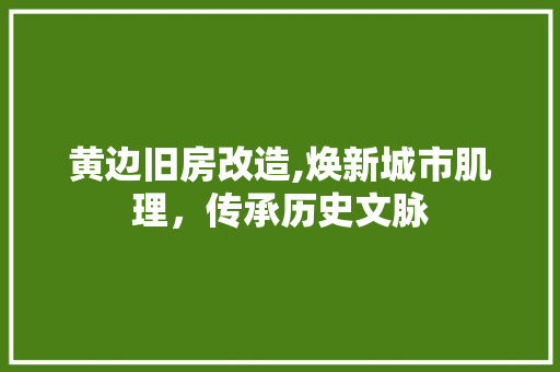 黄边旧房改造,焕新城市肌理，传承历史文脉