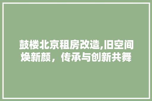 鼓楼北京租房改造,旧空间焕新颜，传承与创新共舞