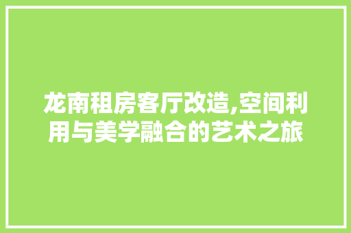 龙南租房客厅改造,空间利用与美学融合的艺术之旅