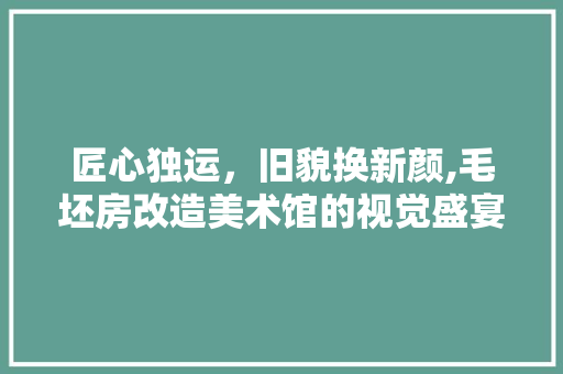 匠心独运，旧貌换新颜,毛坯房改造美术馆的视觉盛宴