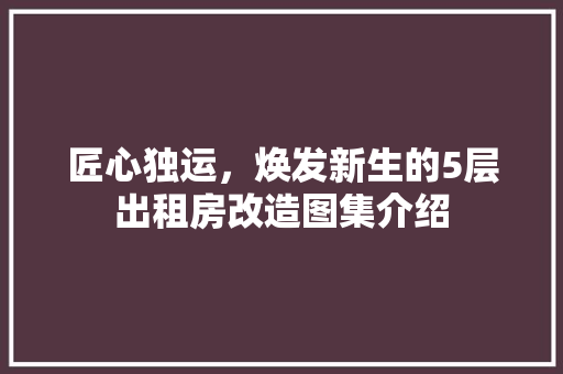 匠心独运，焕发新生的5层出租房改造图集介绍