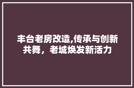 丰台老房改造,传承与创新共舞，老城焕发新活力