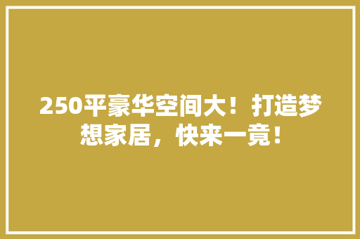 250平豪华空间大！打造梦想家居，快来一竟！ 隔断设计