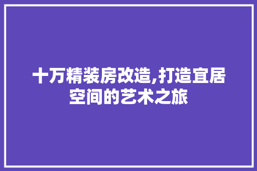 十万精装房改造,打造宜居空间的艺术之旅 景观设计
