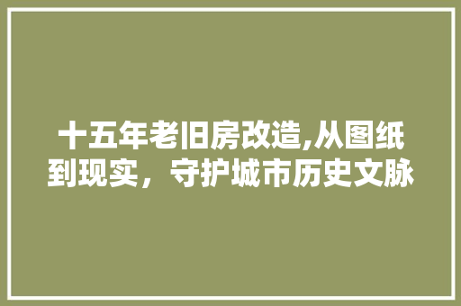 十五年老旧房改造,从图纸到现实，守护城市历史文脉 墙面装饰