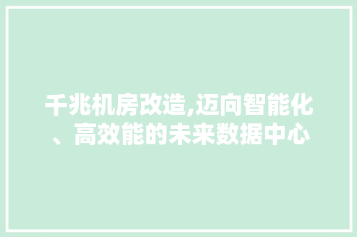 千兆机房改造,迈向智能化、高效能的未来数据中心 地面装修
