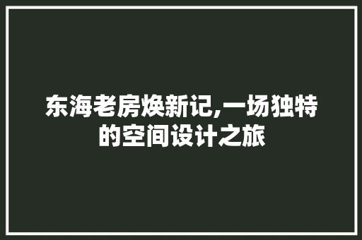 东海老房焕新记,一场独特的空间设计之旅 装修攻略