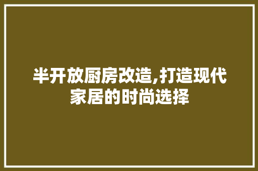 半开放厨房改造,打造现代家居的时尚选择