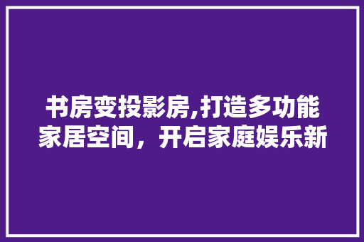 书房变投影房,打造多功能家居空间，开启家庭娱乐新境界