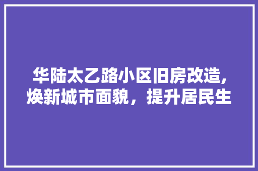 华陆太乙路小区旧房改造,焕新城市面貌，提升居民生活品质 景观设计