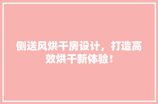 侧送风烘干房设计，打造高效烘干新体验！