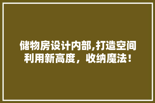 储物房设计内部,打造空间利用新高度，收纳魔法！ 装修攻略