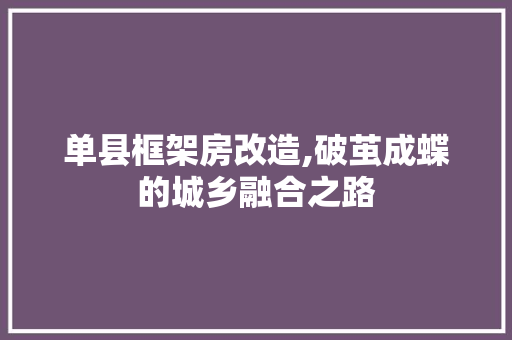 单县框架房改造,破茧成蝶的城乡融合之路
