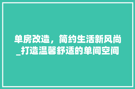 单房改造，简约生活新风尚_打造温馨舒适的单间空间