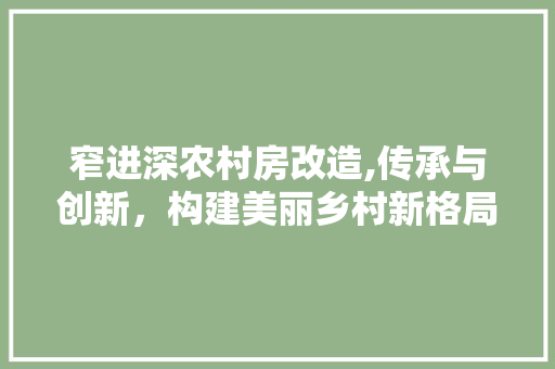 窄进深农村房改造,传承与创新，构建美丽乡村新格局