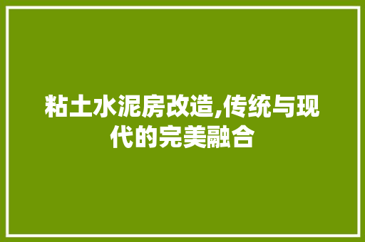 粘土水泥房改造,传统与现代的完美融合 建筑设计 粘土水泥房改造,传统与现代的完美融合 建筑设计