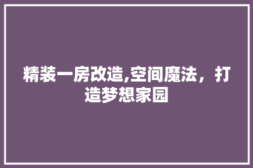精装一房改造,空间魔法，打造梦想家园