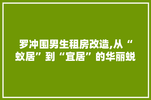 罗冲围男生租房改造,从“蚁居”到“宜居”的华丽蜕变 地面装修