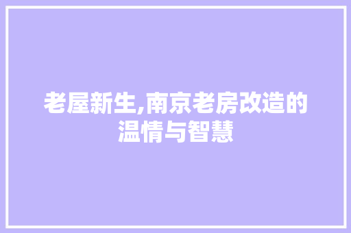 老屋新生,南京老房改造的温情与智慧