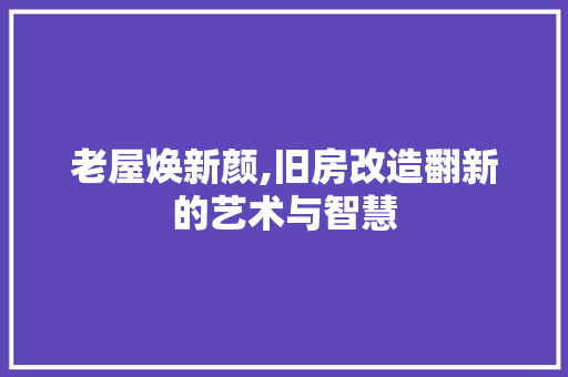 老屋焕新颜,旧房改造翻新的艺术与智慧