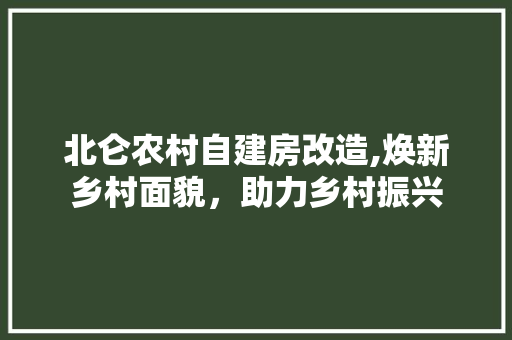 北仑农村自建房改造,焕新乡村面貌，助力乡村振兴